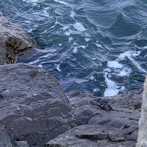 Meet your Posher, Sheth